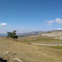 ���� �����, ������, 40 ��� - ��������� 26 ������� 2022 � ������ ������