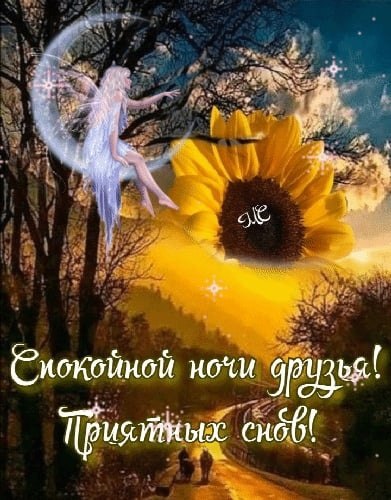 ПРИВЕТСТВИЯ и ПОЖЕЛАНИЯ, открытки на каждый день. - 27 августа 2022 в 21:12