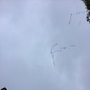 ���� �������� ���� ���� �� ������� �������� ����� 2022�