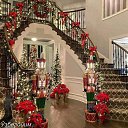 ���� ����, �������, 56 ��� - ��������� 26 ������ 2023