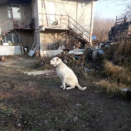 ���� Gagik, ������, 75 ��� - ��������� 19 ������� 2022