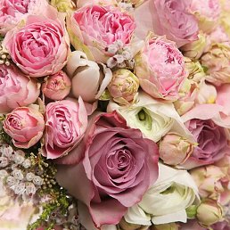 �������, �����, 78 ���