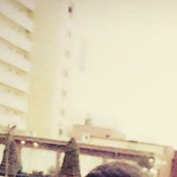 ������, �������, 31 ���