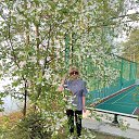  Z,  , 64  -  12  2022    