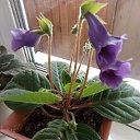 ���� �����, ������, 41 ��� - ��������� 9 ��� 2022 � ������ ���� ���������