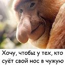 ���� �������, �������, 46 ��� - ��������� 27 ������ 2023 � ������ ���� ����������