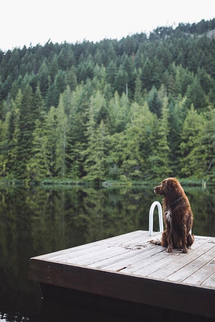 СОВЕТ ДНЯ: Если что-то вдруг пошло не так — пошли это ещё дальше и начинай всё заново...!!!))