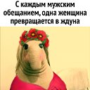 ���� ��������, ���� - ��������� 2 ��� 2022 � ������ ���� ����������