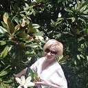 ���� ����, ������ - ��������� 8 ������� 2022 � ������ ���� ����������