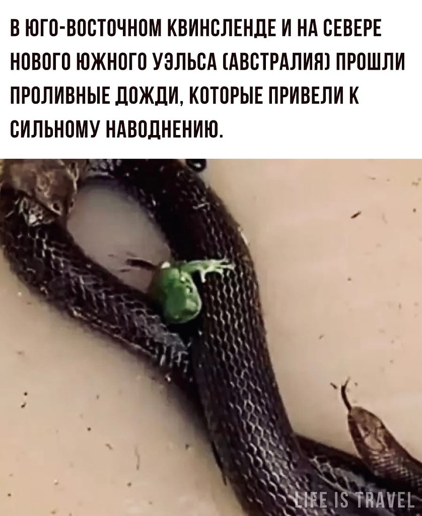 LIFE -  - 21  2022  22:48 - 2