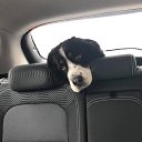 ���� �������, �����-��������� - ��������� 7 ����� 2022 � ������ ������ ��������
