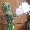 ���� �����, ������ - ��������� 22 ������� 2022