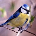  ••,  -  3  2022   hgirughrghr