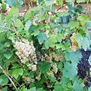 ���� �������, �������, 65 ��� - ��������� 7 ������� 2022 � ������ ���� ����������