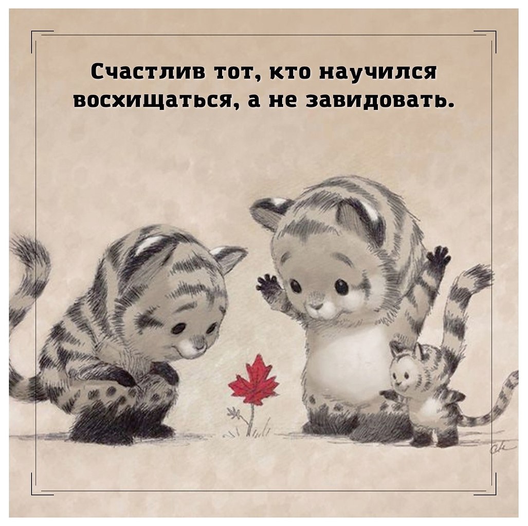 Зависть – это язва души. Всегда помните об этом!