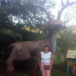 ���� ����, ������, 66 ��� - ��������� 5 ������� 2023