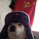  ϸ-, , 59  -  23  2022