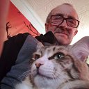 ���� ����, ������, 68 ��� - ��������� 31 ��� 2022 � ������ ���� ����������