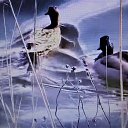 ���� �., �����������, 70 ��� - ��������� 6 ��� 2022 � ������ ������ ��������