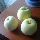 ���� ��������, ���, 55 ��� - ��������� 16 ������ 2022