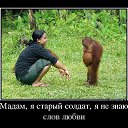 ���� ��������, ������, 62 ���� - ��������� 17 ������� 2022 � ������ ���� ����