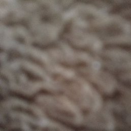 ����, �������, 66 ���