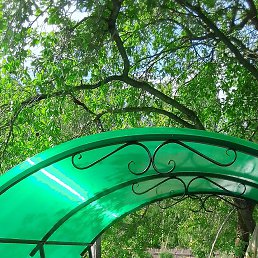 ���� �������, �������, 43 ���� - ��������� 9 �������� 2022