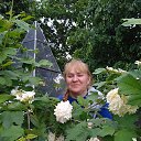 ���� ��������, �����-��������� - ��������� 28 ���� 2022 � ������ ���� ����������