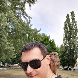 ����, ������, 41 ���