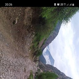 �����, �����������, 29 ���