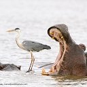 ���� �������, ������, 64 ���� - ��������� 26 ������� 2022 � ������ ������ ��������