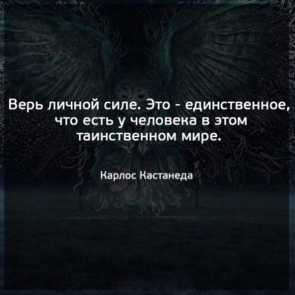 ������� ������ ����������� - 25 ������� 2022 � 17:21