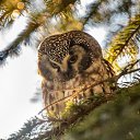 ���� Marlen, ����������� - ��������� 31 ���� 2022 � ������ ������ ��������