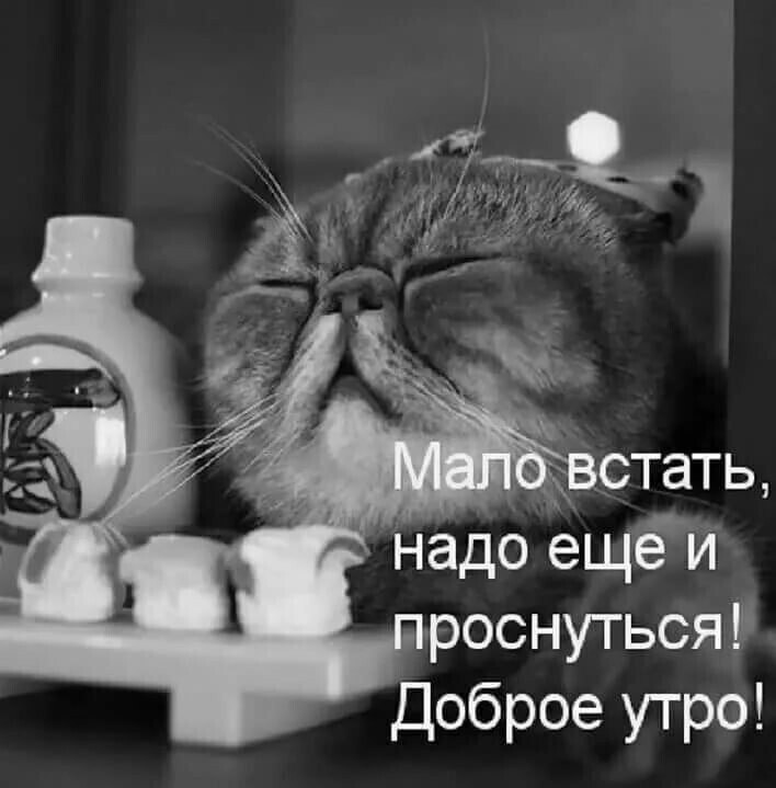 ***Victoria Viktorovna*** - 26  2022  04:36