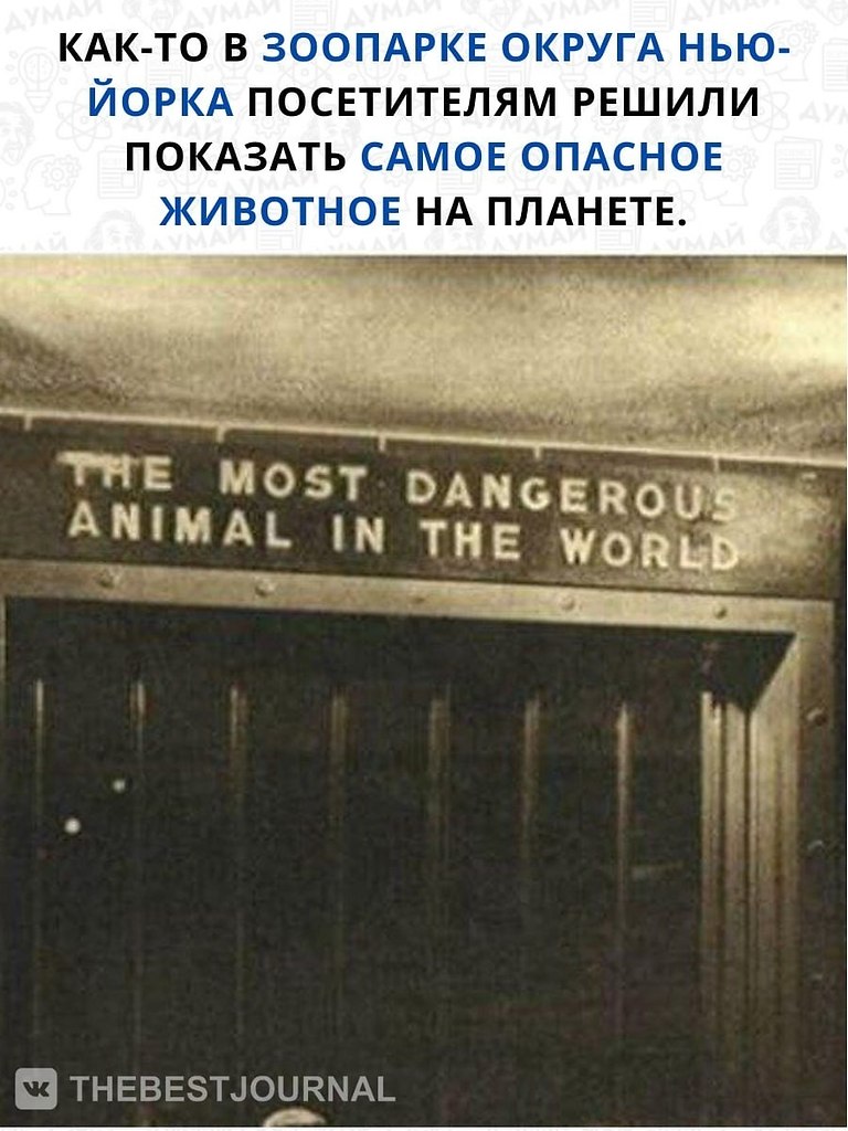 Не можем не согласиться с этим простым и очень эффективным ...