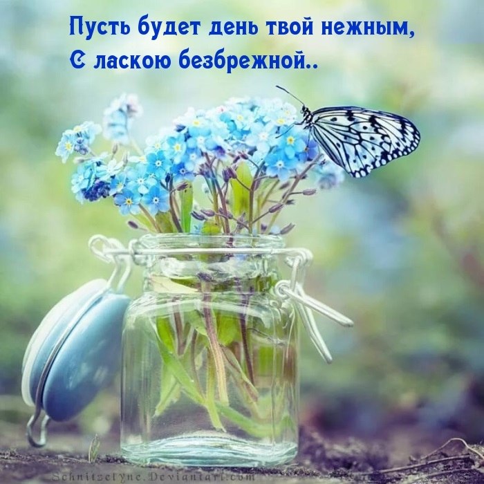   ! - 19  2022  07:00
