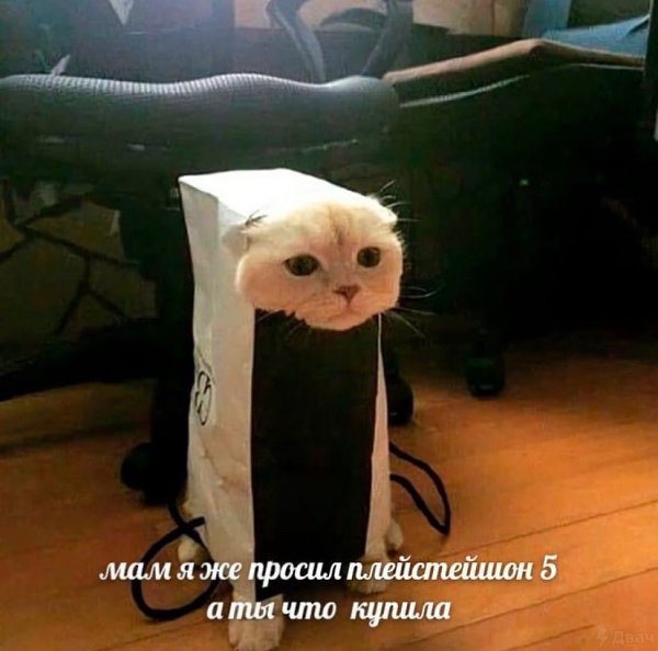    - 26  2022  21:27