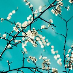 �������, �����, 69 ���