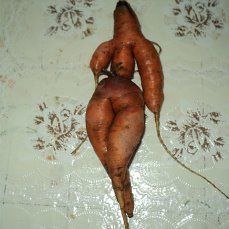  )