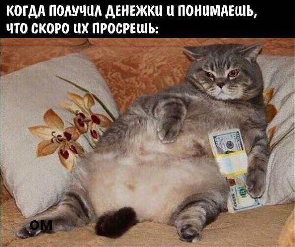    - 27  2022  02:24