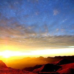 �������, �������, 42 ����