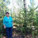 ���� �������, �����������, 68 ��� - ��������� 7 ���� 2022