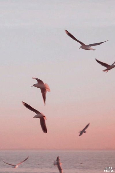 ��o �pe�pac�o.#art #travel #world - 5