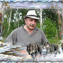 ���� ����, ������ - ��������� 11 ������ 2022