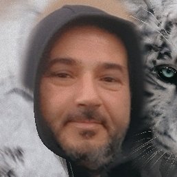 Ars, ������, 48 ���