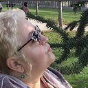 ���� ������, �������, 65 ��� - ��������� 6 ������� 2022