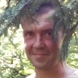 �����, ������, 42 ����