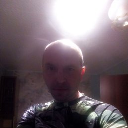 �������, ���������, 46 ���