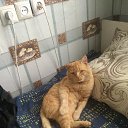 ���� �������, �����������, 44 ���� - ��������� 5 ������ 2022 � ������ ���� ����������