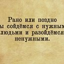  Ambassador, , 41  -  7  2022   Love Theme